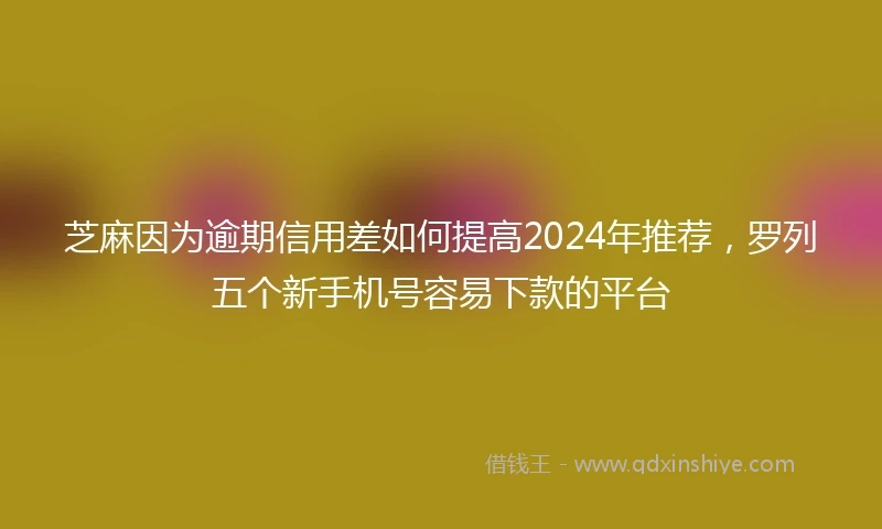 芝麻因为逾期信用差如何提高2024年推荐，罗列五个新手机号容易下款的平台