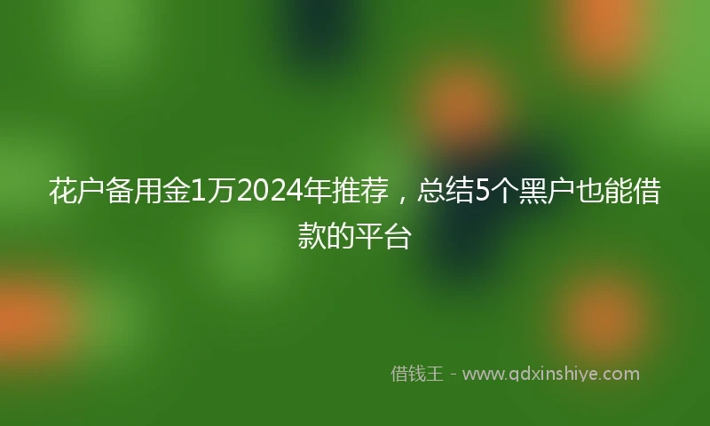 花户备用金1万2024年推荐，总结5个黑户也能借款的平台