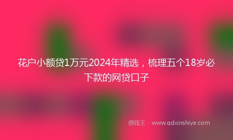 花户小额贷1万元2024年精选，梳理五个18岁必下款的网贷口子