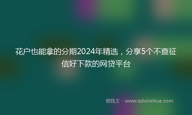 花户也能拿的分期2024年精选，分享5个不查征信好下款的网贷平台