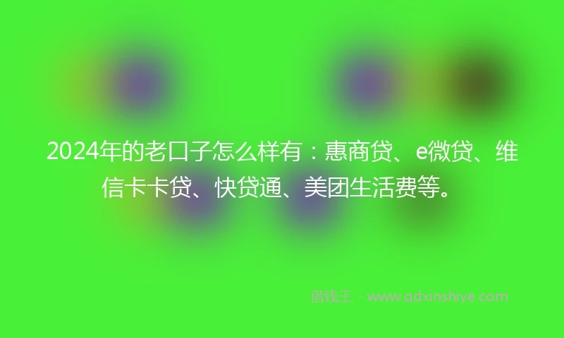 2024年的老口子怎么样有：惠商贷、e微贷、维信卡卡贷、快贷通、美团生活费等。