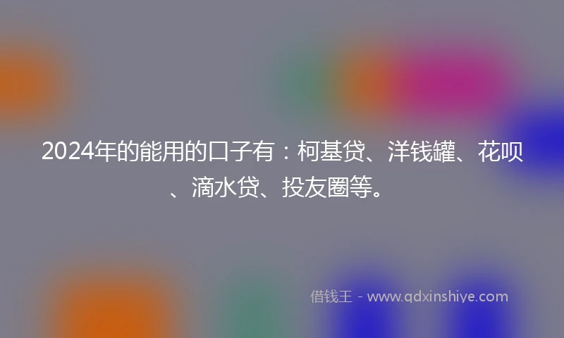 2024年的能用的口子有：柯基贷、洋钱罐、花呗、滴水贷、投友圈等。