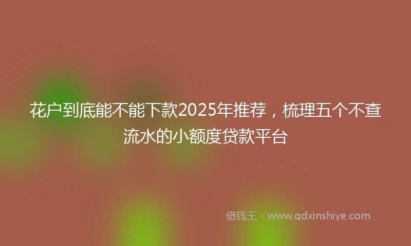 花户到底能不能下款2025年推荐，梳理五个不查流水的小额度贷款平台