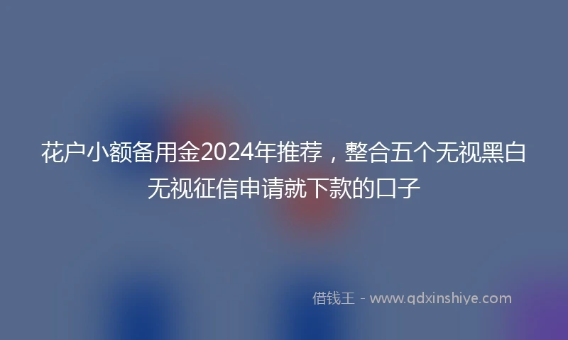 花户小额备用金2024年推荐，整合五个无视黑白无视征信申请就下款的口子