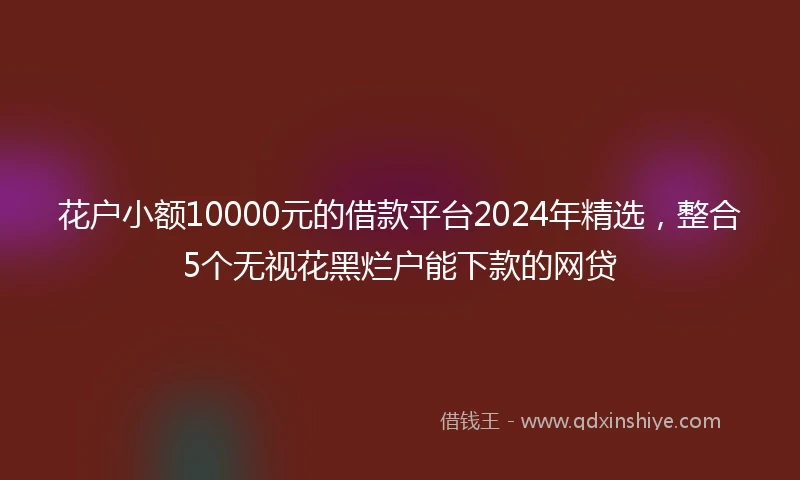花户小额10000元的借款平台2024年精选，整合5个无视花黑烂户能下款的网贷
