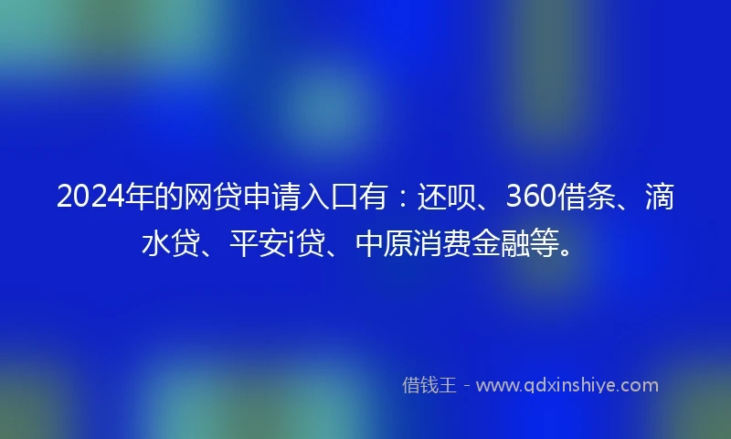 2024年的网贷申请入口有：还呗、360借条、滴水贷、平安i贷、中原消费金融等。