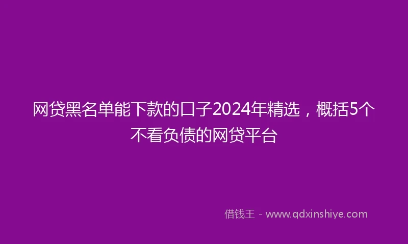 网贷黑名单能下款的口子2024年精选，概括5个不看负债的网贷平台