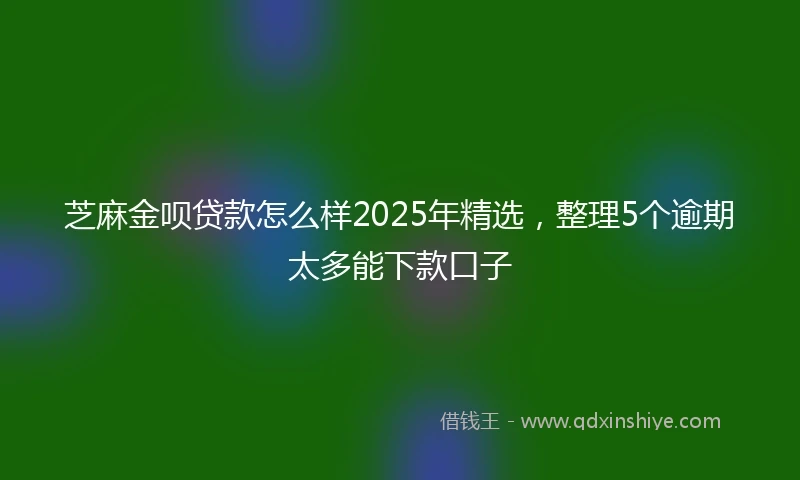 芝麻金呗贷款怎么样2025年精选，整理5个逾期太多能下款口子
