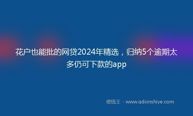花户也能批的网贷2024年精选，归纳5个逾期太多仍可下款的app