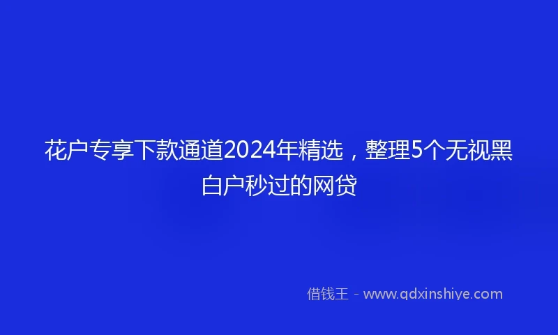 花户专享下款通道2024年精选，整理5个无视黑白户秒过的网贷
