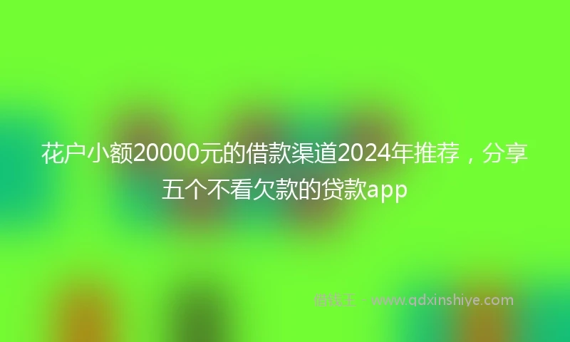 花户小额20000元的借款渠道2024年推荐,分享五个不看欠款的贷款app