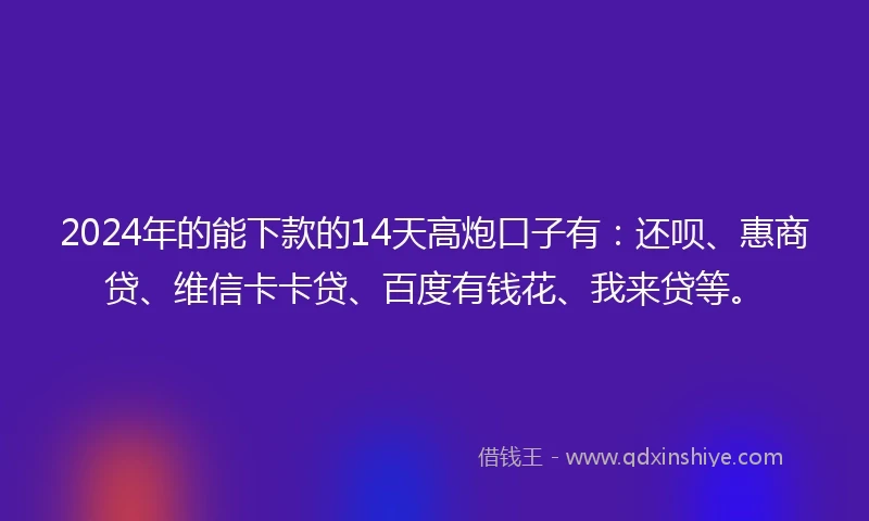 2024年的能下款的14天高炮口子有：还呗、惠商贷、维信卡卡贷、百度有钱花、我来贷等。