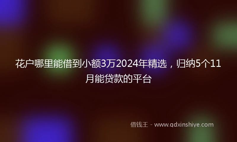 花户哪里能借到小额3万2024年精选,归纳5个11月能贷款的平台