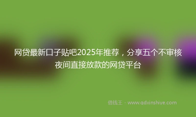 网贷最新口子贴吧2025年推荐，分享五个不审核夜间直接放款的网贷平台