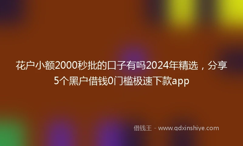花户小额2000秒批的口子有吗2024年精选，分享5个黑户借钱0门槛极速下款app