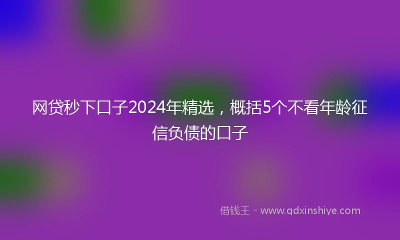 网贷秒下口子2024年精选，概括5个不看年龄征信负债的口子