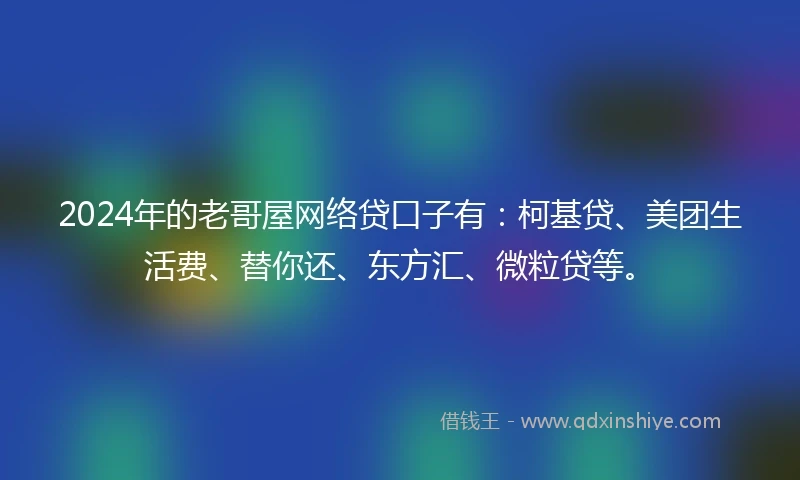 2024年的老哥屋网络贷口子有：柯基贷、美团生活费、替你还、东方汇、微粒贷等。