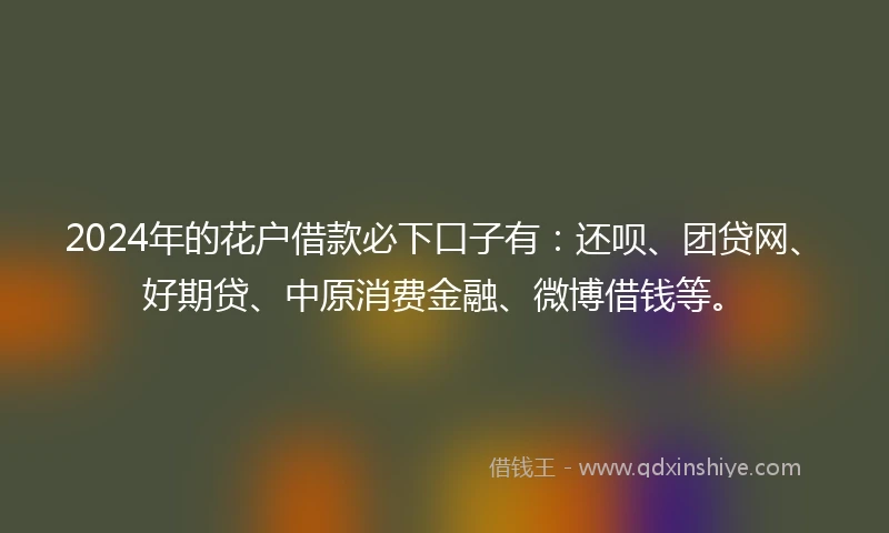 2024年的花户借款必下口子有：还呗、团贷网、好期贷、中原消费金融、微博借钱等。