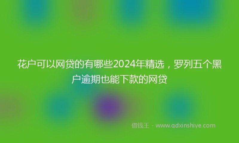 花户可以网贷的有哪些2024年精选，罗列五个黑户逾期也能下款的网贷