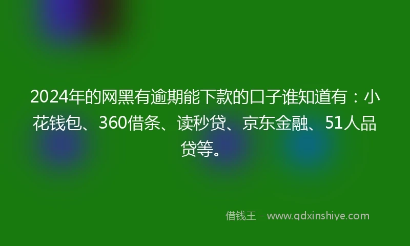2024年的网黑有逾期能下款的口子谁知道有：小花钱包、360借条、读秒贷、京东金融、51人品贷等。