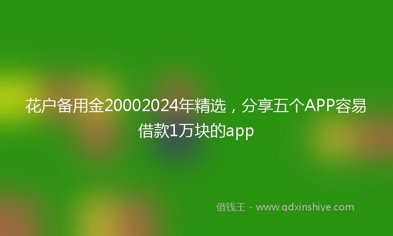 花户备用金20002024年精选，分享五个APP容易借款1万块的app