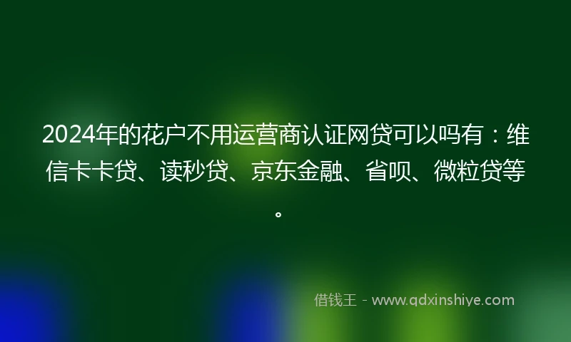 2024年的花户不用运营商认证网贷可以吗有：维信卡卡贷、读秒贷、京东金融、省呗、微粒贷等。