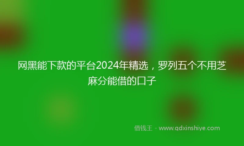 网黑能下款的平台2024年精选，罗列五个不用芝麻分能借的口子