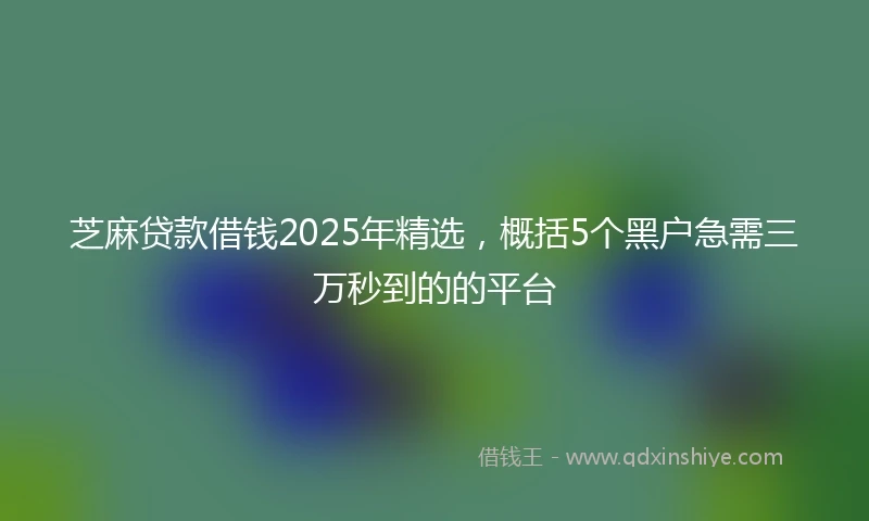 芝麻贷款借钱2025年精选，概括5个黑户急需三万秒到的的平台