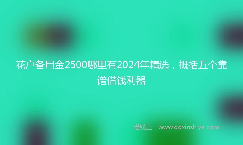 花户备用金2500哪里有2024年精选，概括五个靠谱借钱利器
