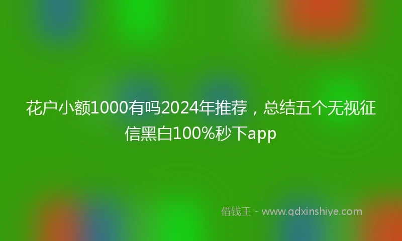 花户小额1000有吗2024年推荐，总结五个无视征信黑白100%秒下app
