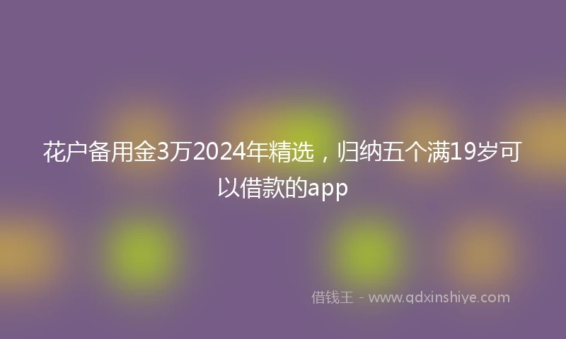 花户备用金3万2024年精选，归纳五个满19岁可以借款的app