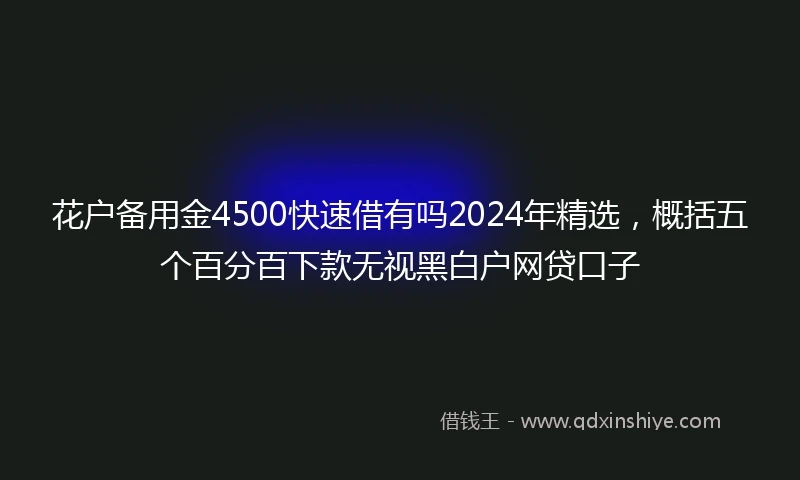 花户备用金4500快速借有吗2024年精选，概括五个百分百下款无视黑白户网贷口子