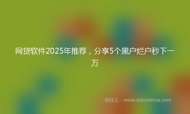 网贷软件2025年推荐，分享5个黑户烂户秒下一万