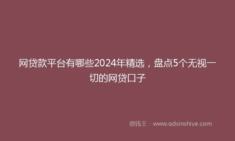 网贷款平台有哪些2024年精选，盘点5个无视一切的网贷口子