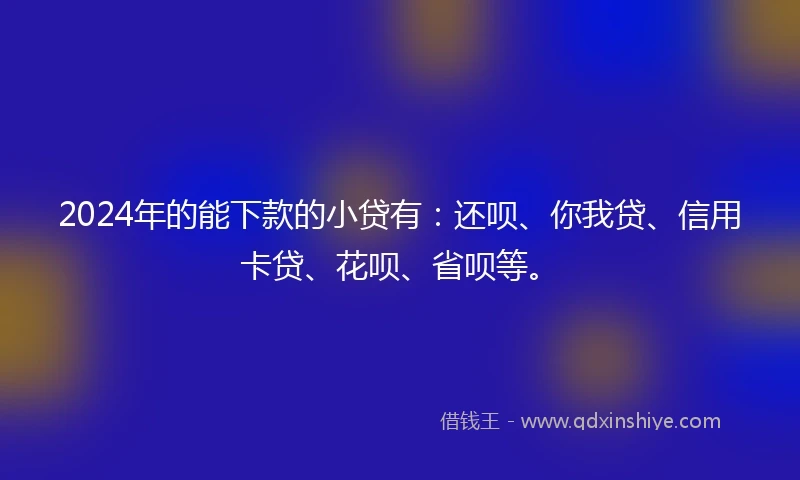 2024年的能下款的小贷有：还呗、你我贷、信用卡贷、花呗、省呗等。