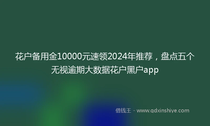 花户备用金10000元速领2024年推荐，盘点五个无视逾期大数据花户黑户app