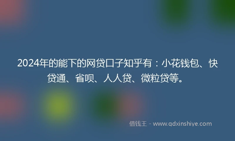 2024年的能下的网贷口子知乎有：小花钱包、快贷通、省呗、人人贷、微粒贷等。