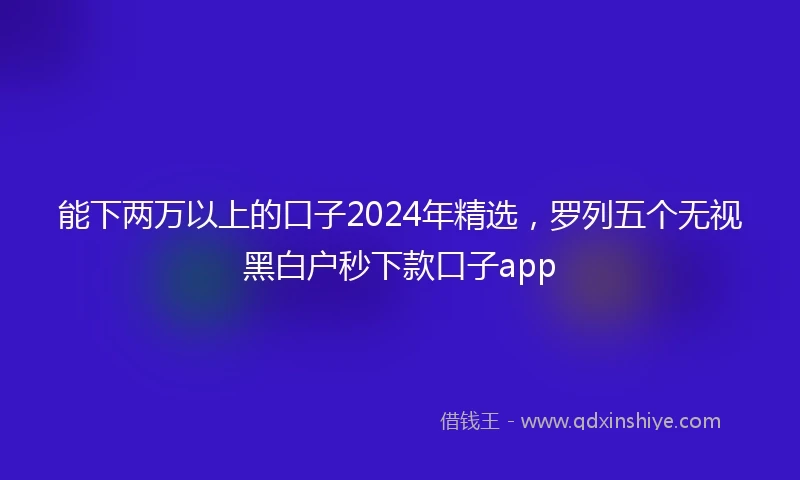 能下两万以上的口子2024年精选，罗列五个无视黑白户秒下款口子app