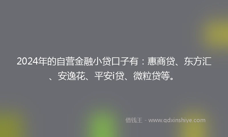 2024年的自营金融小贷口子有：惠商贷、东方汇、安逸花、平安i贷、微粒贷等。