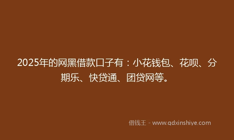 2025年的网黑借款口子有：小花钱包、花呗、分期乐、快贷通、团贷网等。