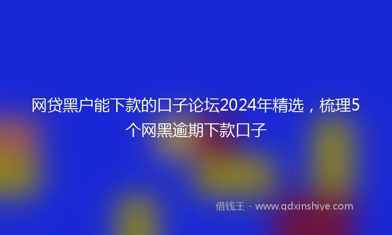 网贷黑户能下款的口子论坛2024年精选，梳理5个网黑逾期下款口子