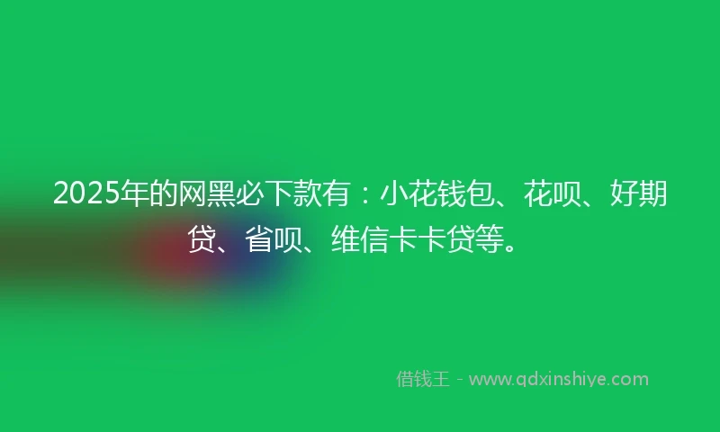 2025年的网黑必下款有：小花钱包、花呗、好期贷、省呗、维信卡卡贷等。