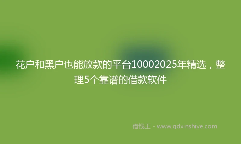花户和黑户也能放款的平台10002025年精选,整理5个靠谱的借款软件