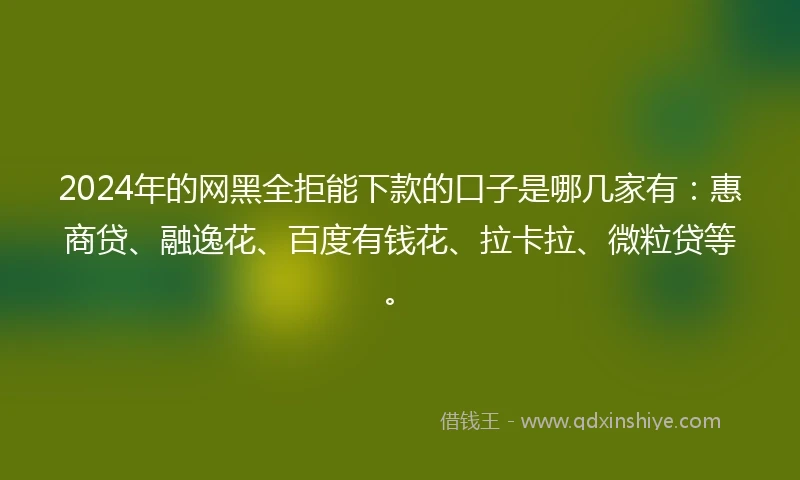 2024年的网黑全拒能下款的口子是哪几家有：惠商贷、融逸花、百度有钱花、拉卡拉、微粒贷等。