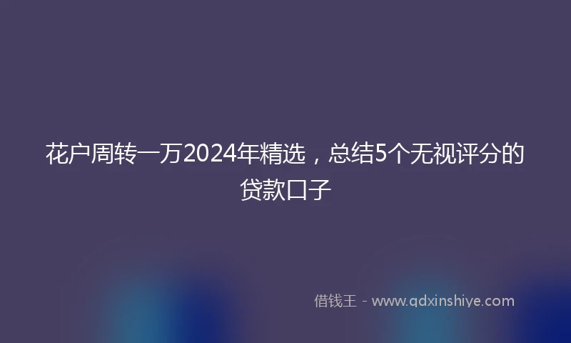花户周转一万2024年精选，总结5个无视评分的贷款口子