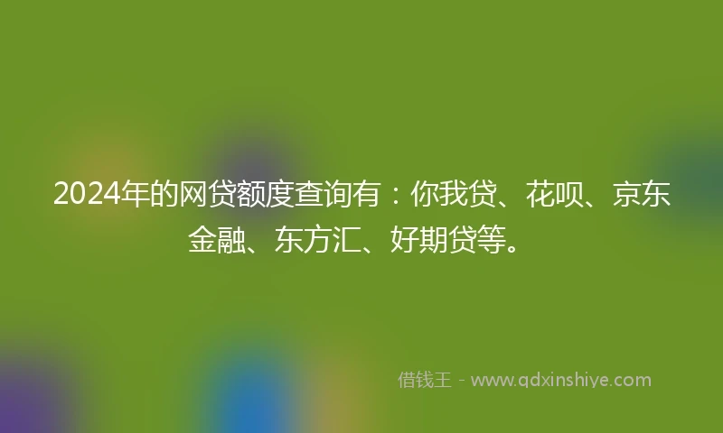 2024年的网贷额度查询有：你我贷、花呗、京东金融、东方汇、好期贷等。
