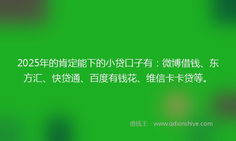 2025年的肯定能下的小贷口子有：微博借钱、东方汇、快贷通、百度有钱花、维信卡卡贷等。