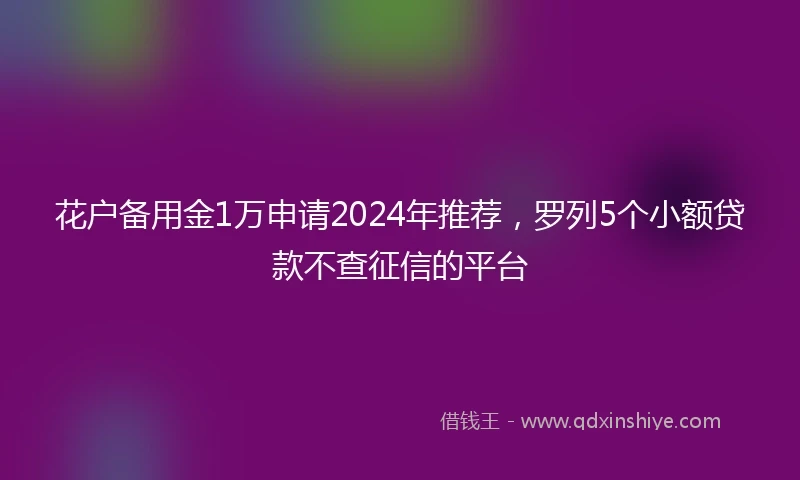 花户备用金1万申请2024年推荐，罗列5个小额贷款不查征信的平台