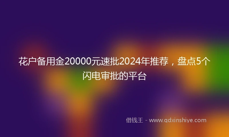 花户备用金20000元速批2024年推荐，盘点5个闪电审批的平台
