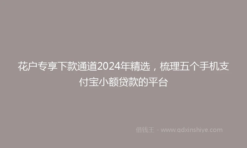 花户专享下款通道2024年精选，梳理五个手机支付宝小额贷款的平台